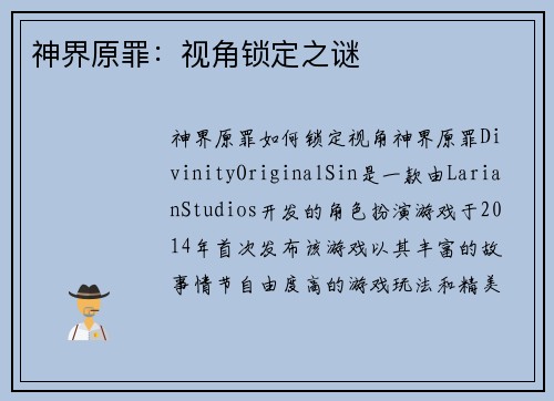 神界原罪：视角锁定之谜